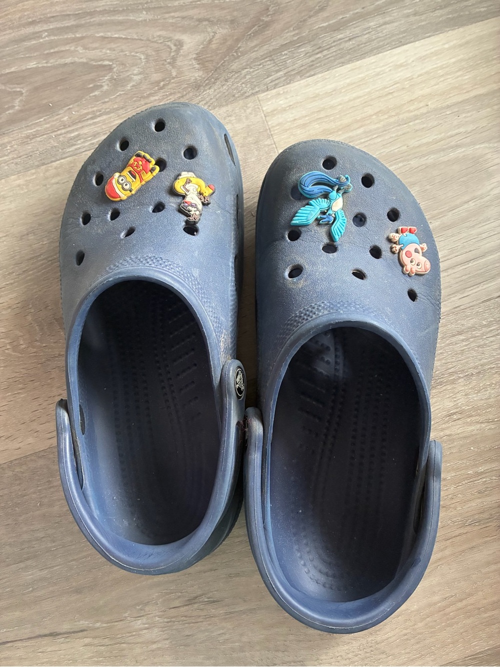CROCS Navy Blue Clogs with Playful Charms